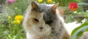 DSCN0440.JPG