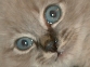 DSC00162.JPG