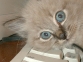 DSC00163.JPG