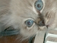 DSC00166.JPG