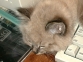 DSC00170.JPG