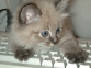 DSC00152.JPG