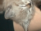 DSC00236.JPG
