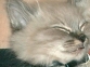DSC00229.JPG
