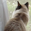 DSC00105.JPG