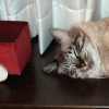 DSC00537.JPG