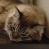 DSC01140.JPG