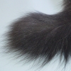 DSC01556.JPG