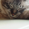 DSC00855.JPG