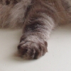 DSC00845.JPG