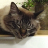 DSC00434.JPG