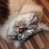 DSC00370.JPG