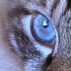 DSC01273.JPG