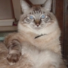 DSC01685.JPG
