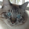 DSC01573.JPG