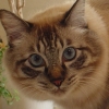 DSC02021.JPG