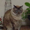 DSC02546.JPG