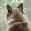 DSC01688.JPG