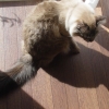 DSC01909.JPG