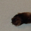 DSC02543.JPG