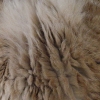 DSC02422.JPG