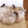 DSC02628.JPG