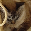 DSC02579.JPG