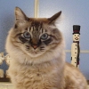 DSC02776.JPG