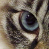 DSC02752.JPG