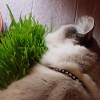 DSC02686.JPG