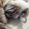 DSC02875.JPG
