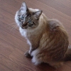 DSC02869.JPG