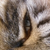 DSCN0120.JPG