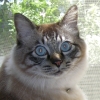 DSCN0507.JPG