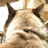DSCN0363.JPG
