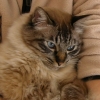 DSCN0356.JPG