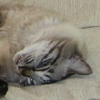 DSCN1126.JPG