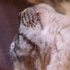 DSCN1316.JPG