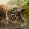DSCN1283.JPG
