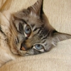 DSCN1146.JPG