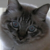 DSCN0045.JPG