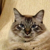 DSC03880.JPG