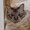 DSC03748.JPG