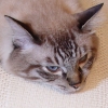 DSC03564.JPG