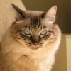 DSCN0024.JPG