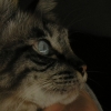 DSCN0654.JPG