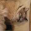 DSCN0263.JPG