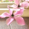 DSCN0696.JPG