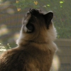 DSCN0693.JPG