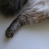 DSCN2149.JPG